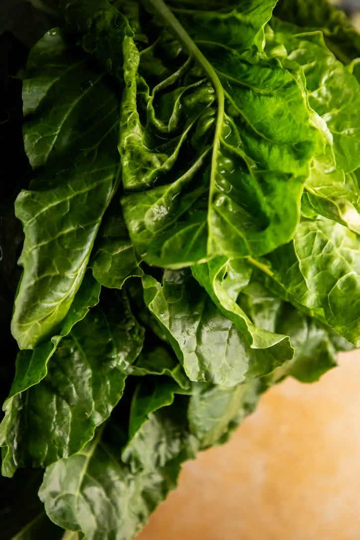 Ingredientes Frescos